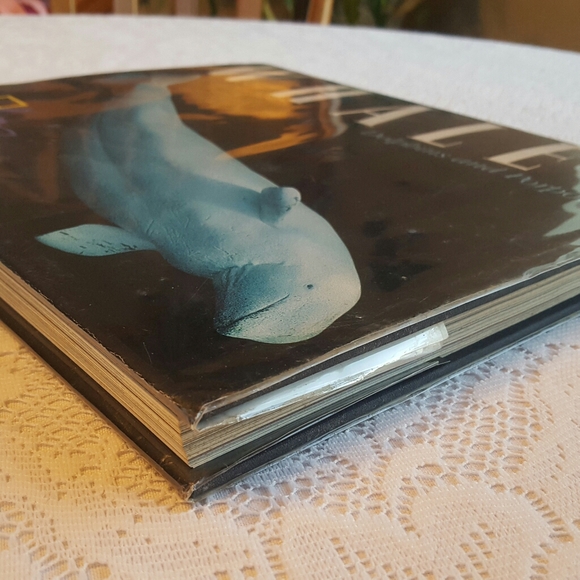 *SOLD* WHALES DOLPHINS AND PORPOISES 1995 HARDCOVER - Picture 3 of 9